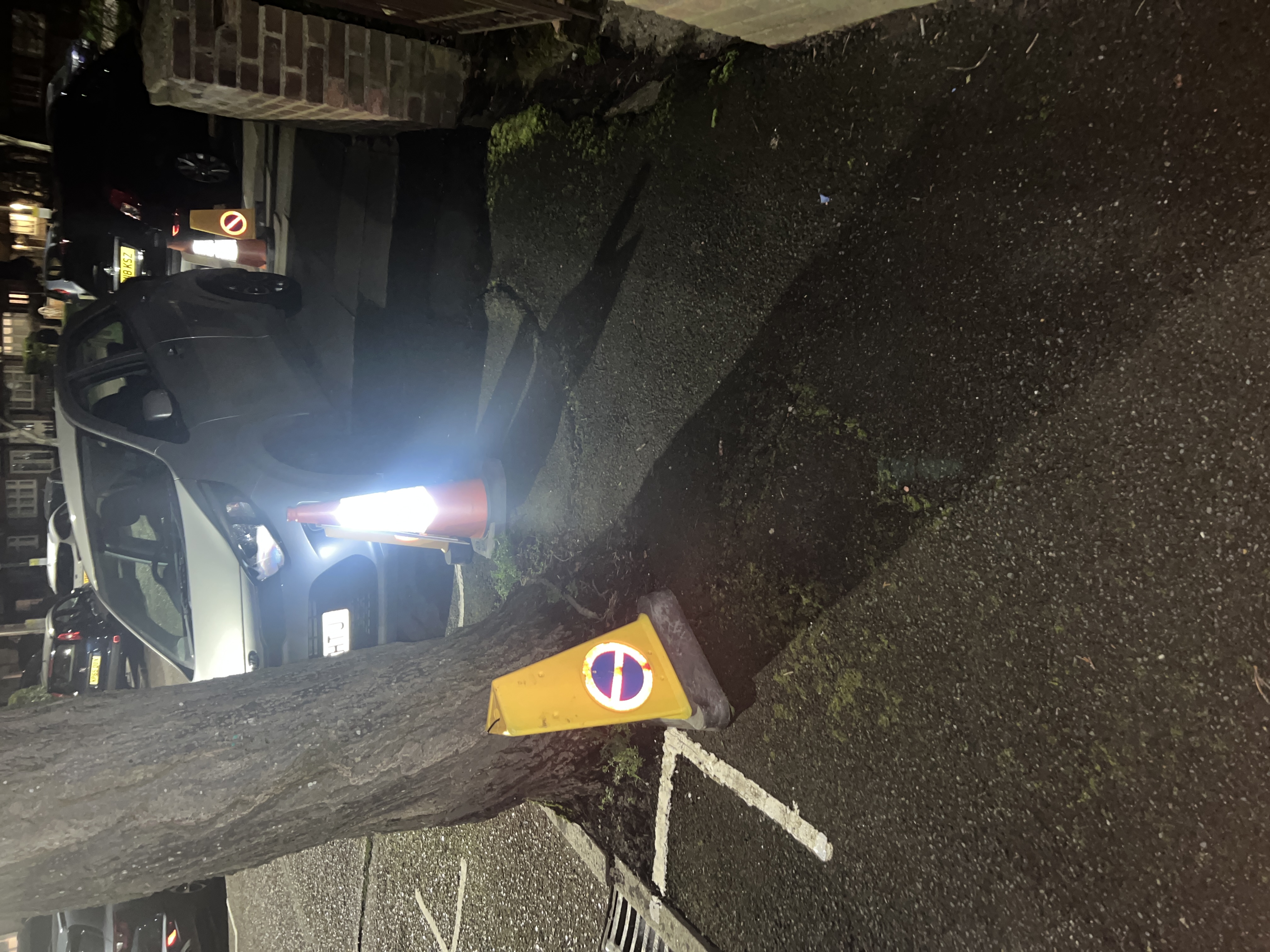 Tree roots causing lifting and cracking of asphalt carriageway surface