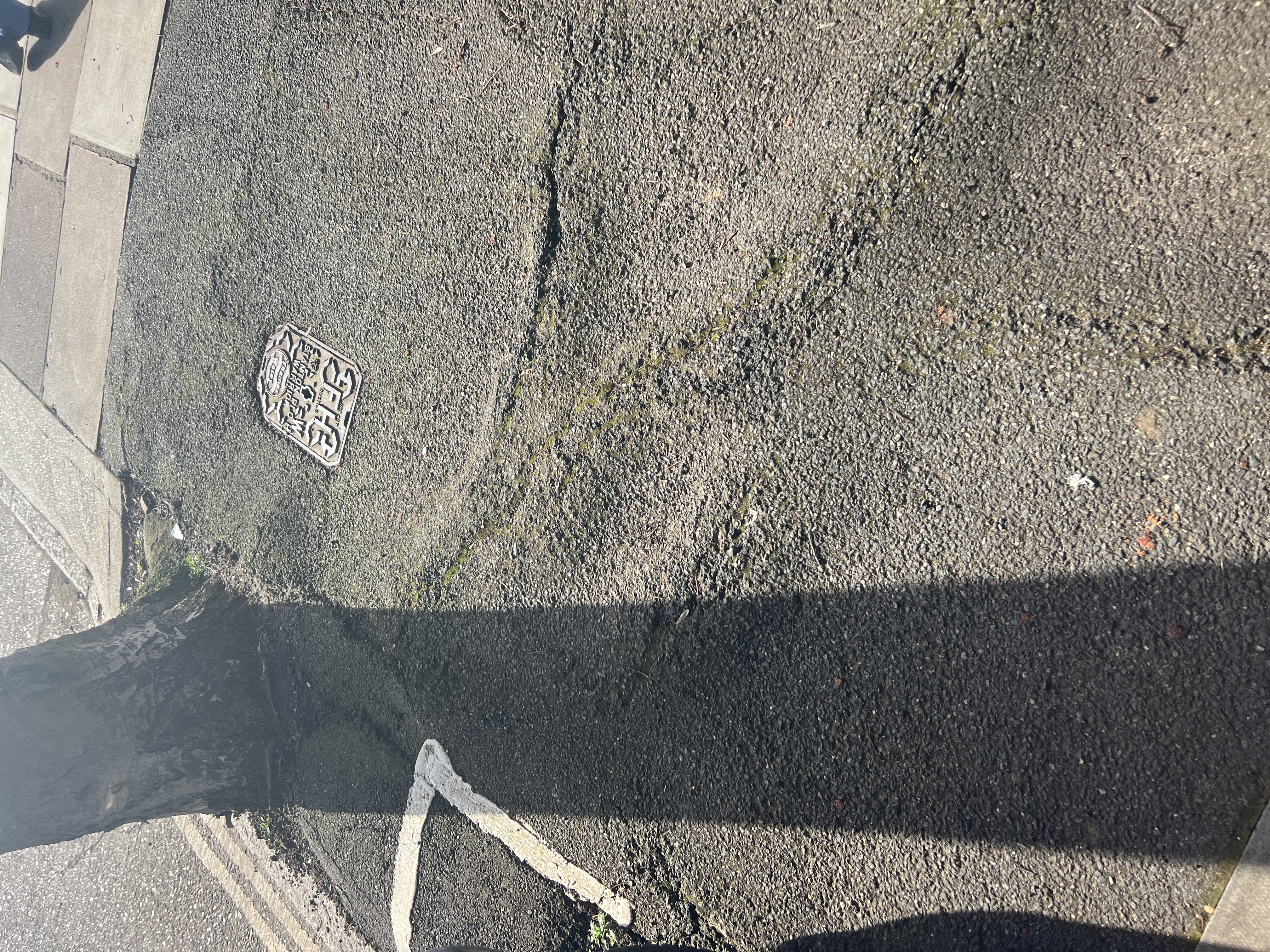 Close-up of cracked and lifted asphalt where tree roots have disrupted the surface